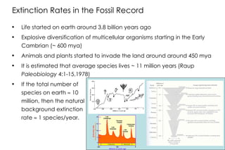 Estimating Extinction Rates: Habitat loss, species-area curves, and the ...