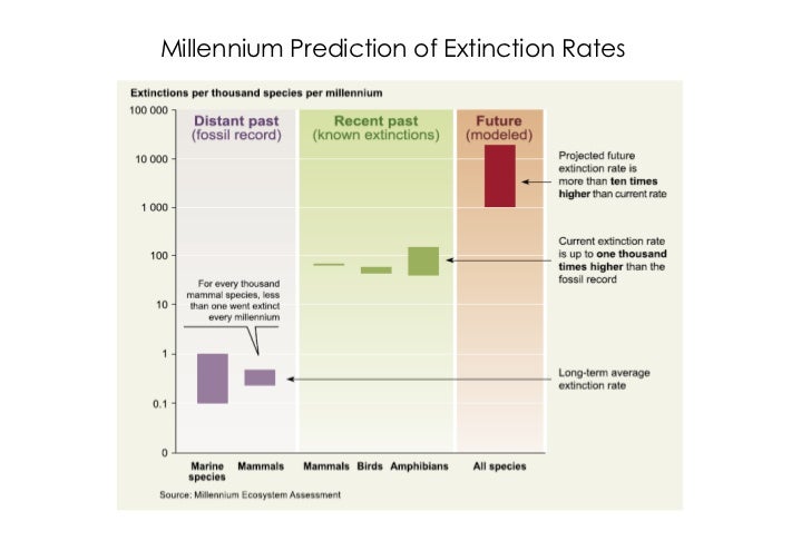 Extinction Clock Comparing Extinction Rates: Past, Present, And Future – CZATVZ
