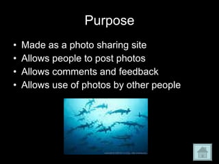 Purpose Made as a photo sharing site Allows people to post photos Allows comments and feedback Allows use of photos by other people 