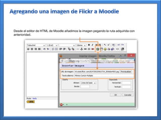 Desde el editor de HTML de Moodle añadimos la imagen pegando la ruta adquirida con
anterioridad.
 