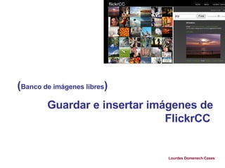 ( Banco de imágenes libres ) Guardar e insertar imágenes de FlickrCC   Lourdes Domenech Cases 