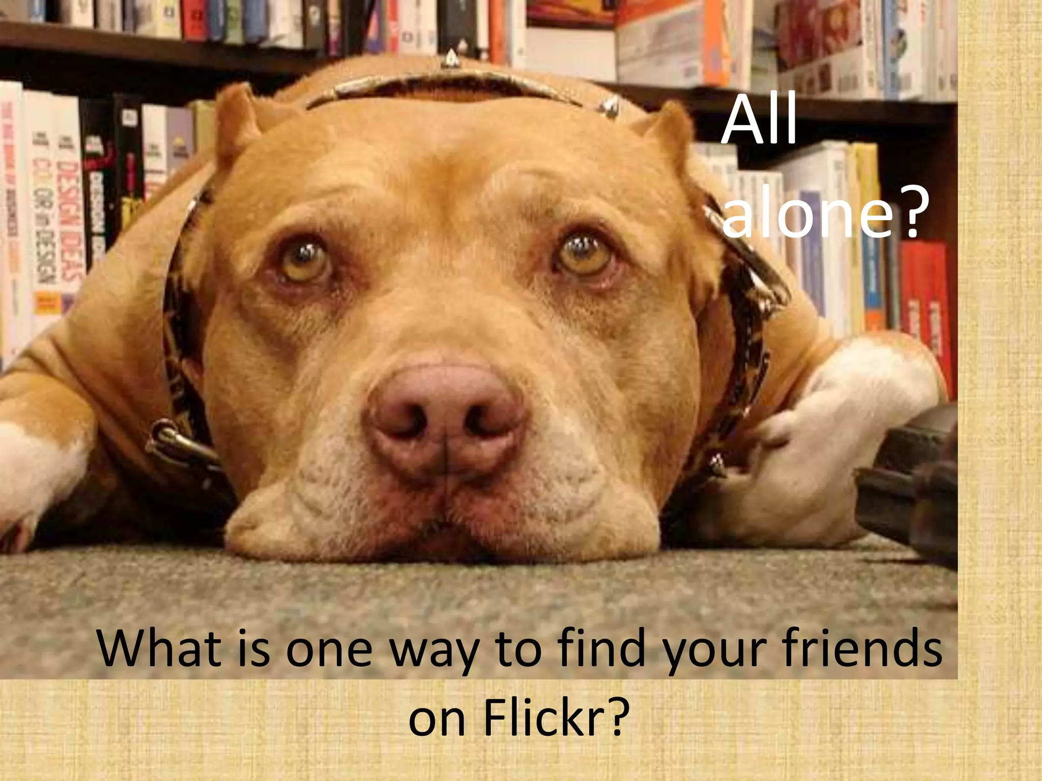 What is one way to find your friends
on Flickr?
All
alone?
 