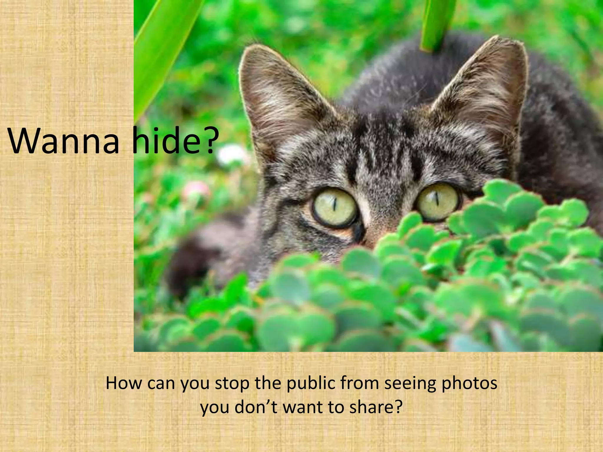 How can you stop the public from seeing photos
you don’t want to share?
Wanna hide?
 