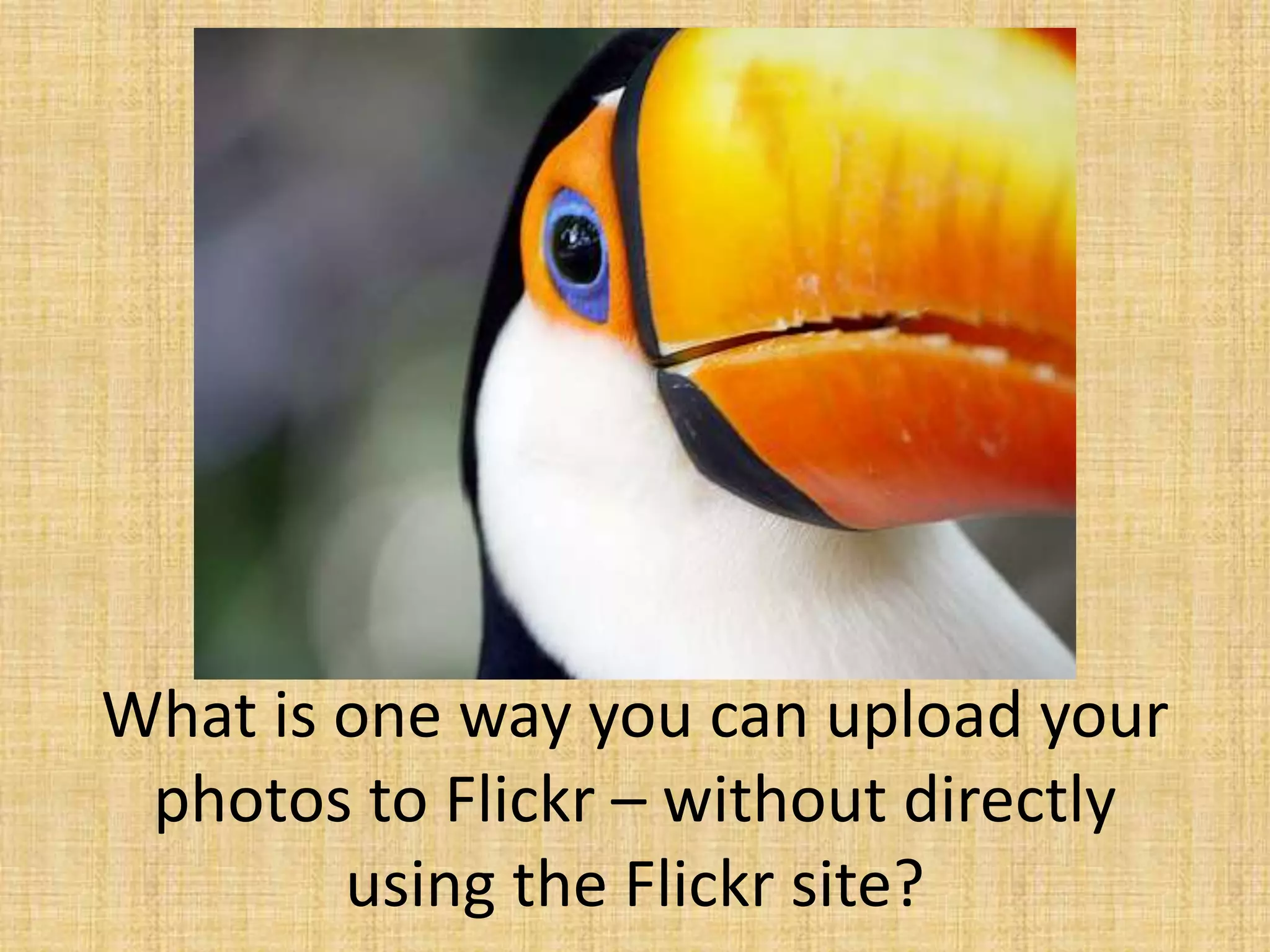 What is one way you can upload your
photos to Flickr – without directly
using the Flickr site?
 
