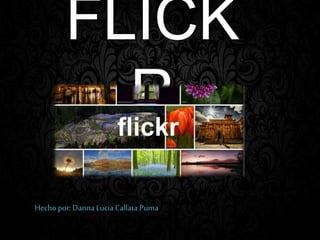 FLICK
R
Hechopor: Danna Lucia Callata Puma
 