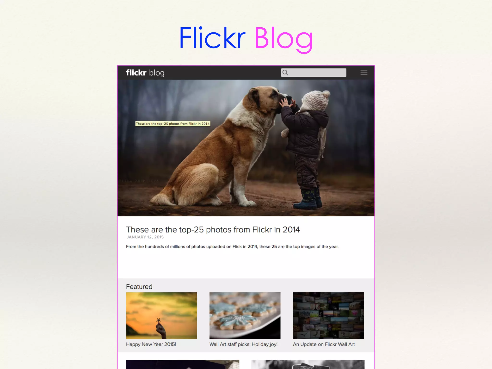 Flickr Blog
 