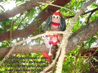 O calor chegou trazendo o canto...   Da Cigarra com o seu Encanto...   Um SEGREDO para o coração...   Numa Linda Noite de Verão...   Marionete e Saúde - Brasil   