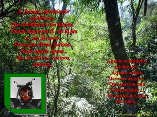 Marionete e Saúde - Brasil   A  formiga (operária por excelência)... Que trabalhava o dia inteiro... Voando daqui pra lá e de lá pra cá, sem descanso... Ficava por demais furiosa... Vendo aquela cigana... Que só cantava, cantava, cantava... Aquela cantadeira estridente... Aquela artista deveras alegre... Que parecia não compreender... Os santos deveres do reino... 