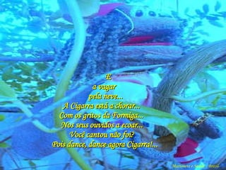 E  a vagar  pela neve...   A Cigarra está a chorar...   Com os gritos da Formiga...   Nos seus ouvidos a ecoar... Você cantou não foi?  Pois dance, dance agora Cigarra!... Marionete e Saúde - Brasil   