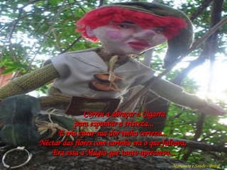 Correu a abraçar a Cigarra  para espantar a tristeza... E iria curar sua dor tinha certeza...  Néctar das flores com carinho era o que faltava,  Era essa a Magia que tanto apreciava... Marionete e Saúde - Brasil   