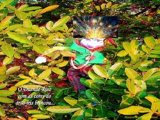 O Duende Riso  com as cores do  arco-íris brincou... Marionete e Saúde - Brasil   