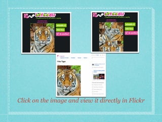 Click on the image and view it directly in Flickr
 