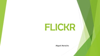 FLICKR
Miguel Morocho
 