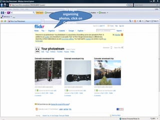 To begin organizing photos, click on Organize.  