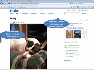 Click on Add to Faves to make this photo a favorite. Note: You cannot  make your own photos favorites. 