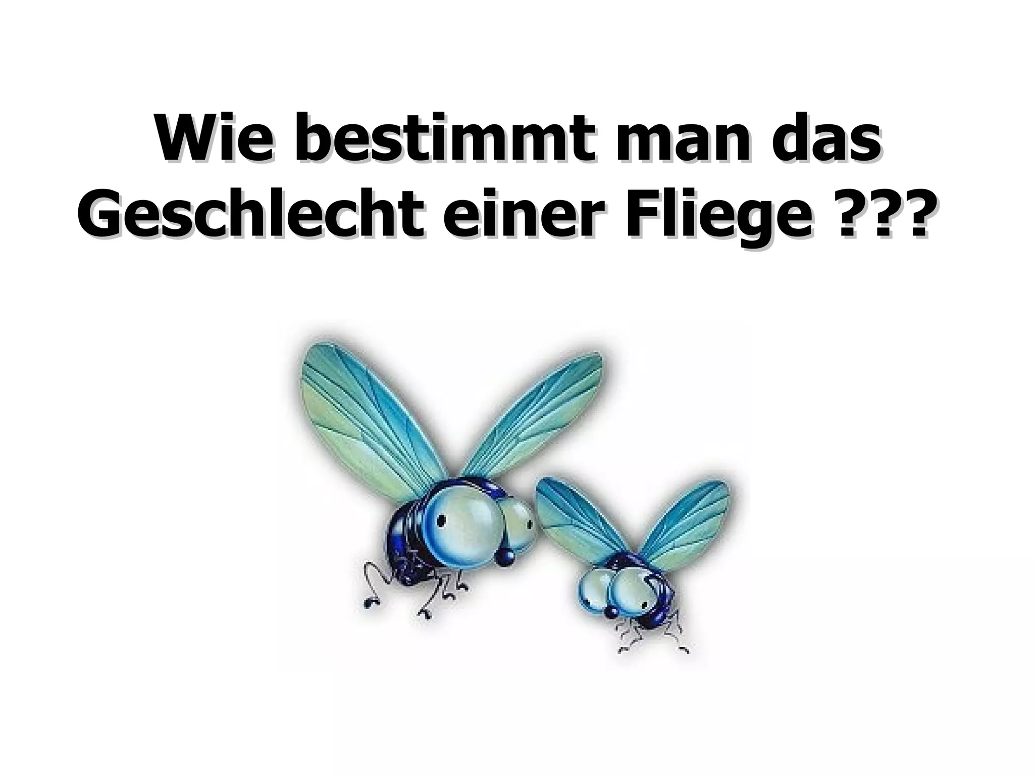 Wie bestimmt man das Geschlecht einer Fliege ???
