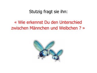 Stutzig fragt sie ihn: « Wie erkennst Du den Unterschied zwischen Männchen und Weibchen ? »