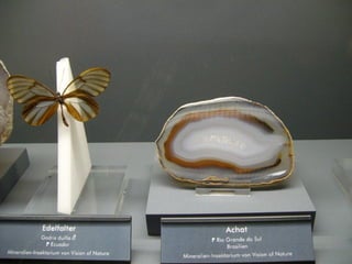 Fliegende juwelen kappe