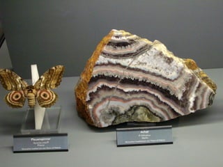 Fliegende juwelen kappe