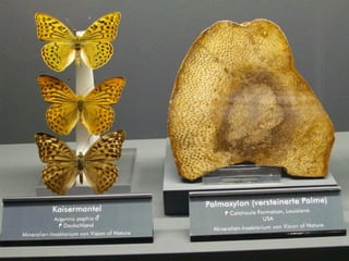 Fliegende juwelen kappe