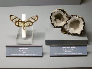 Fliegende juwelen kappe