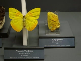 Fliegende juwelen kappe