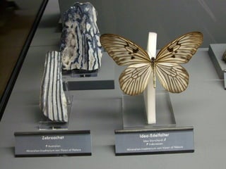 Fliegende juwelen kappe