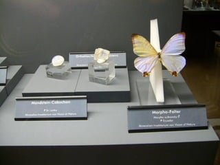 Fliegende juwelen kappe