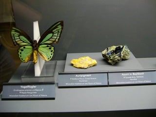 Fliegende juwelen kappe