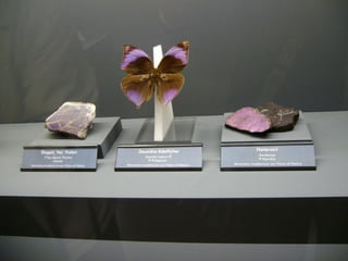 Fliegende juwelen kappe