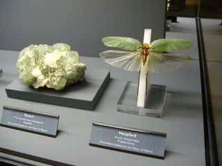 Fliegende juwelen kappe