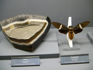 Fliegende juwelen kappe