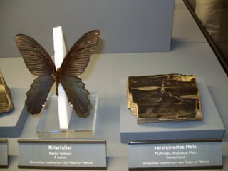 Fliegende juwelen kappe