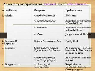 Flies and mosquito related medical conditions and vector control ppt | PPTX