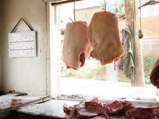Flies as potential carriers for diseases in pork butcheries in Kampala