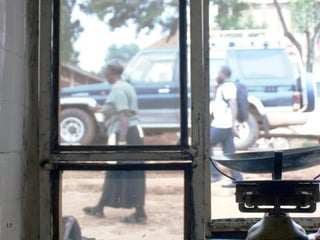 Flies as potential carriers for diseases in pork butcheries in Kampala