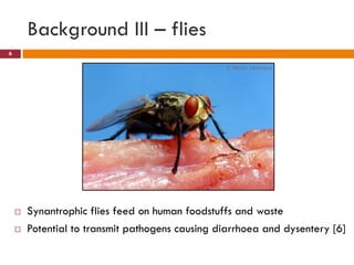Flies as potential carriers for diseases in pork butcheries in Kampala