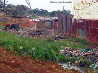 Flies as potential carriers for diseases in pork butcheries in Kampala