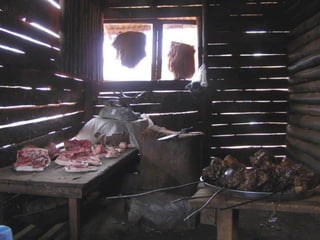 Flies as potential carriers for diseases in pork butcheries in Kampala