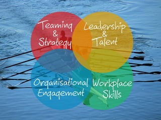 Official Blended Learning Solution to Csikszentmihalyi's Fligby Leadership Simulation by TMI-Telos Partners