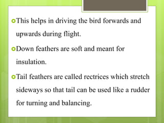 Adaptation for flight in birds | PPTX