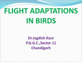 FLIGHT ADAPTATIONS
IN BIRDS
Dr.Jagdish Kaur
P.G.G.C.,Sector 11
Chandigarh
 