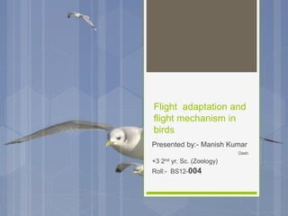 Flight adaptation and
flight mechanism in
birds
Presented by:- Manish Kumar
Dash
+3 2nd yr. Sc. (Zoology)
Roll:- BS12-004
 