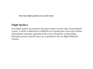 How many flight spoilers are on each wing?
 