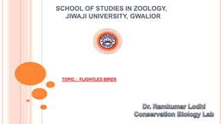 SCHOOL OF STUDIES IN ZOOLOGY,
JIWAJI UNIVERSITY, GWALIOR
TOPIC : FLIGHTLES BIRDS
 