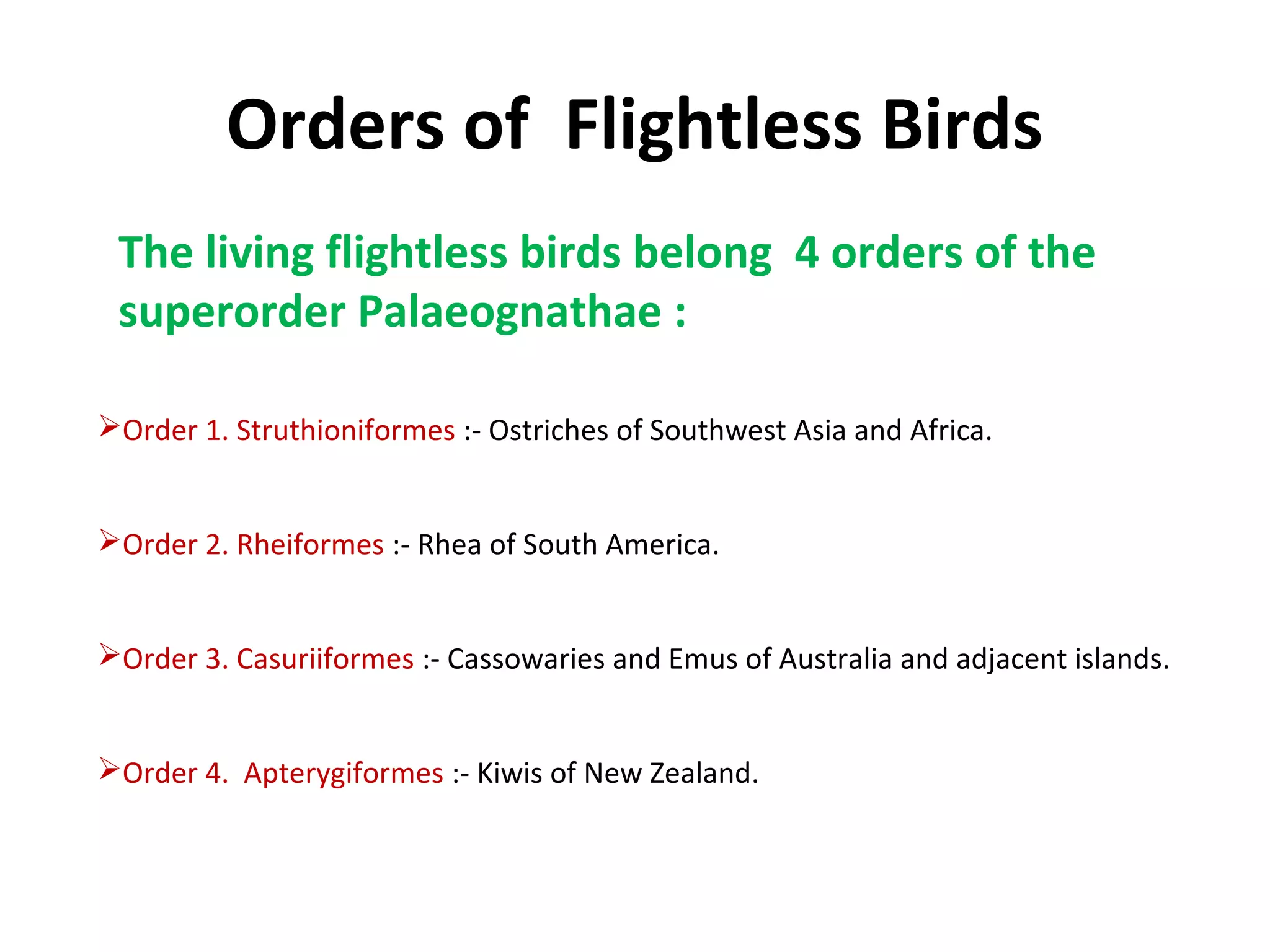 Orders of Flightless Birds
The living flightless birds belong 4 orders of the
superorder Palaeognathae :
Order 1. Struthioniformes :- Ostriches of Southwest Asia and Africa.
Order 2. Rheiformes :- Rhea of South America.
Order 3. Casuriiformes :- Cassowaries and Emus of Australia and adjacent islands.
Order 4. Apterygiformes :- Kiwis of New Zealand.
 