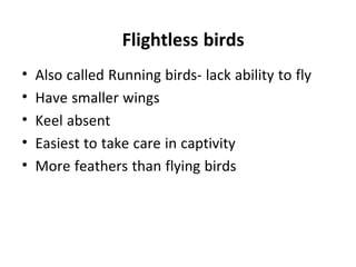 Flightless birds
• Also called Running birds- lack ability to fly
• Have smaller wings
• Keel absent
• Easiest to take care in captivity
• More feathers than flying birds
 