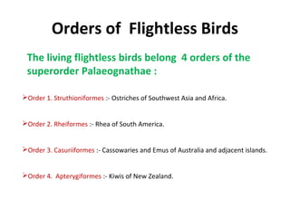 Orders of Flightless Birds
The living flightless birds belong 4 orders of the
superorder Palaeognathae :
Order 1. Struthioniformes :- Ostriches of Southwest Asia and Africa.
Order 2. Rheiformes :- Rhea of South America.
Order 3. Casuriiformes :- Cassowaries and Emus of Australia and adjacent islands.
Order 4. Apterygiformes :- Kiwis of New Zealand.
 