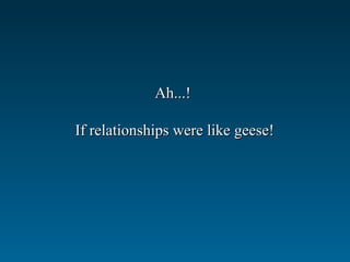 Ah...!Ah...!
If relationships were like geese!If relationships were like geese!
 