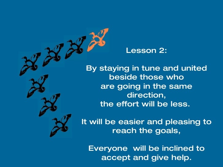 Flight Of Geese Team Work